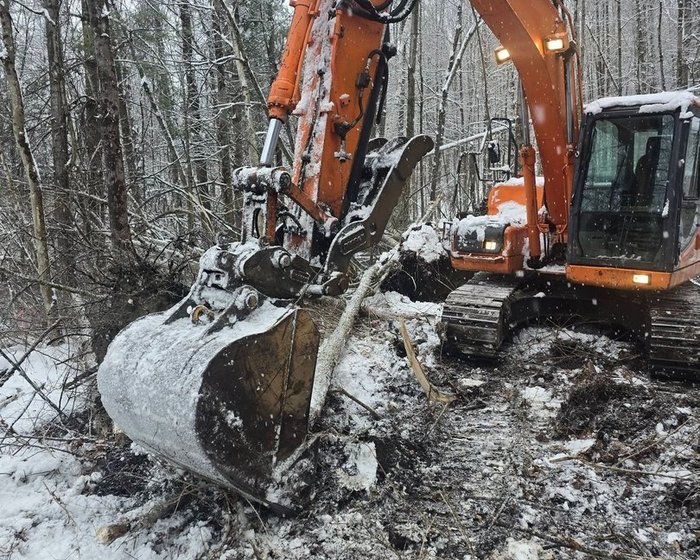 Excavator clearing brush and trees in snowy woods
