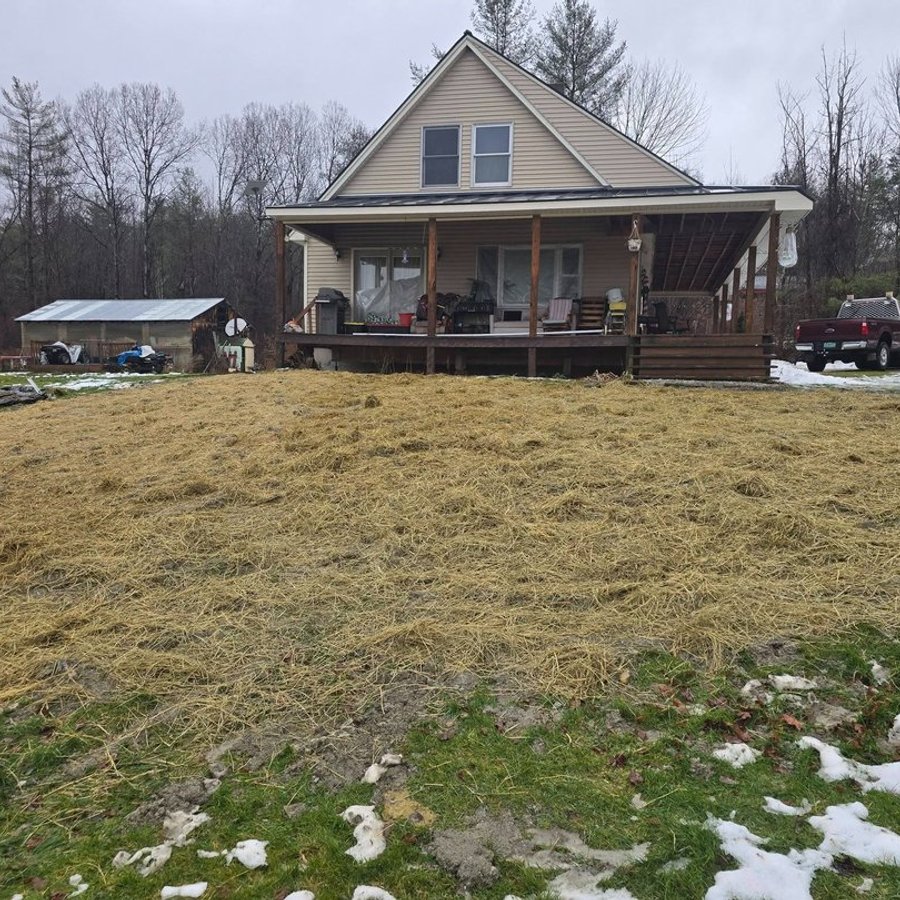 Yard seeded and covered with straw after septic work