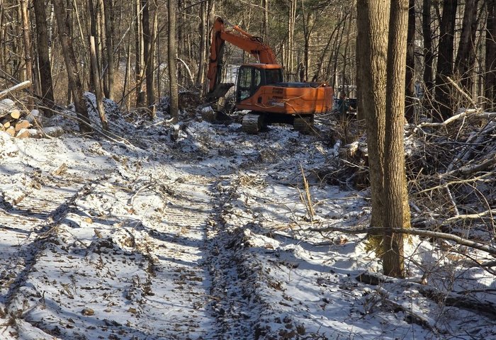 Land Clearing in Castleton, VT