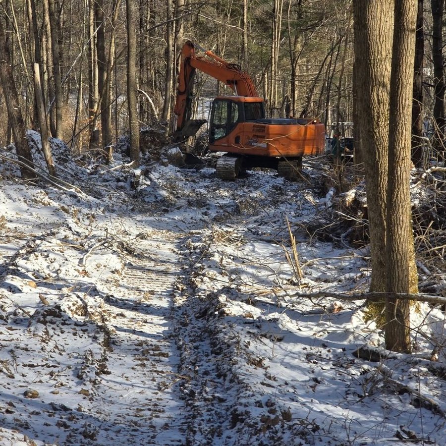 Excavator clearing a path through the woods for an access road