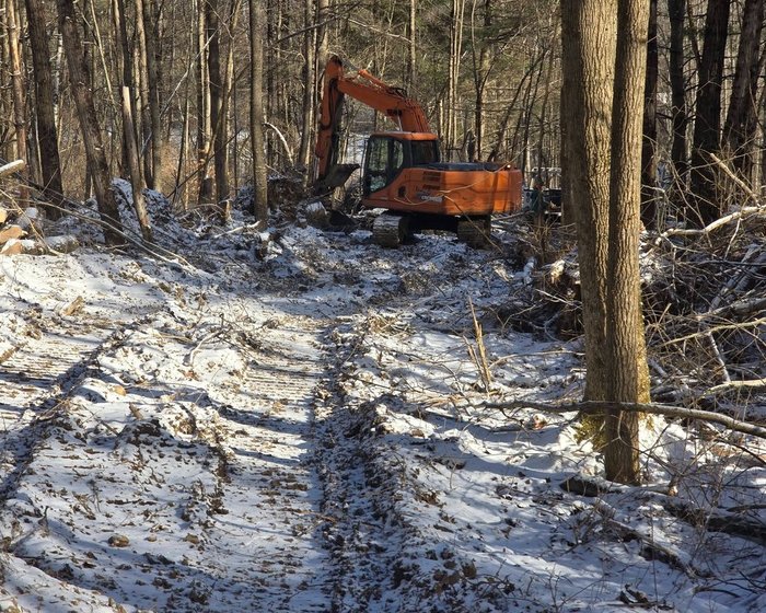 Excavator clearing a path through the woods for an access road